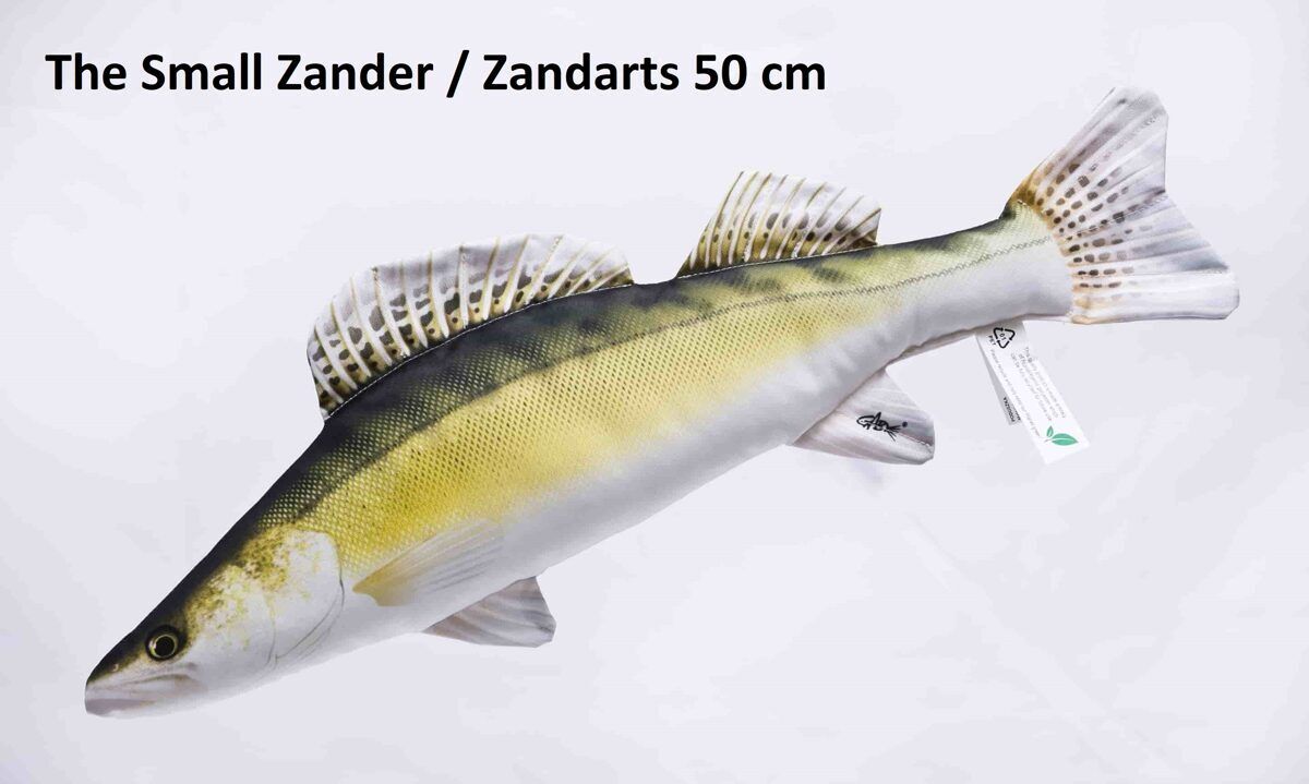 amuras Spilvens Zandarts mazs 50cm / Zander Pillow small 50cm Produkts