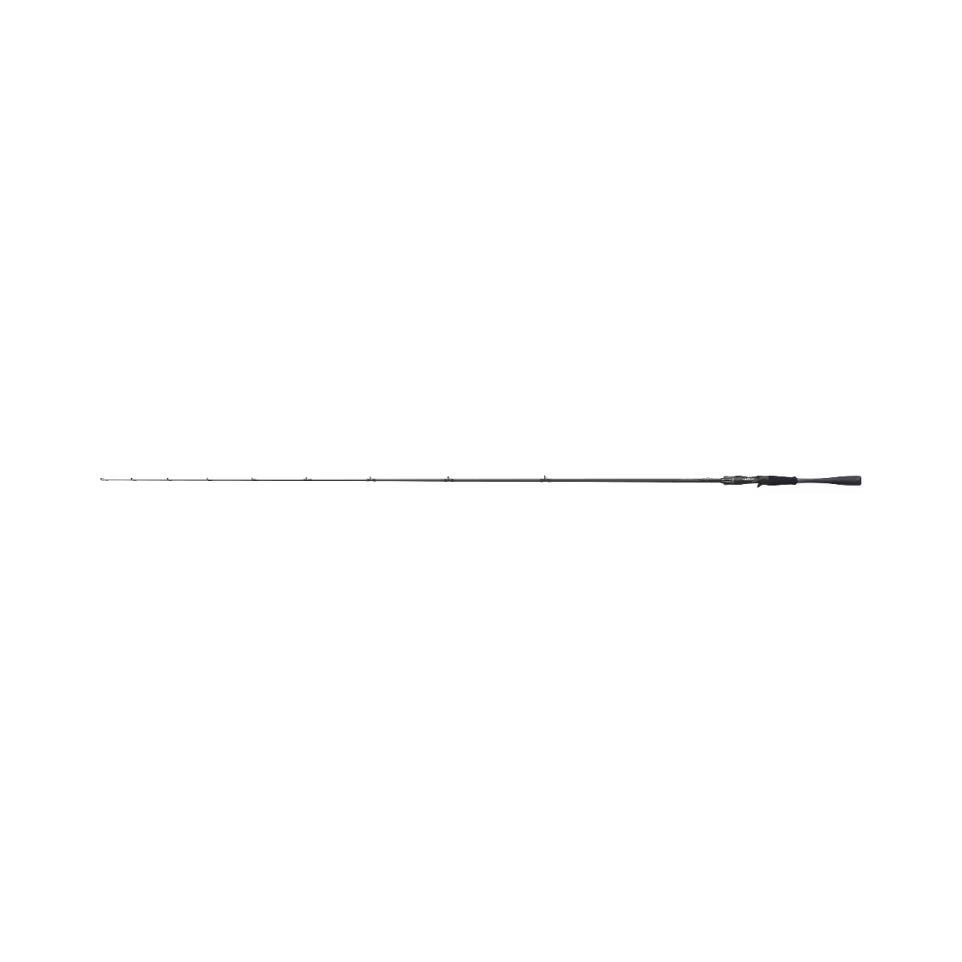 Spinings Shimano 26Zodias Casting