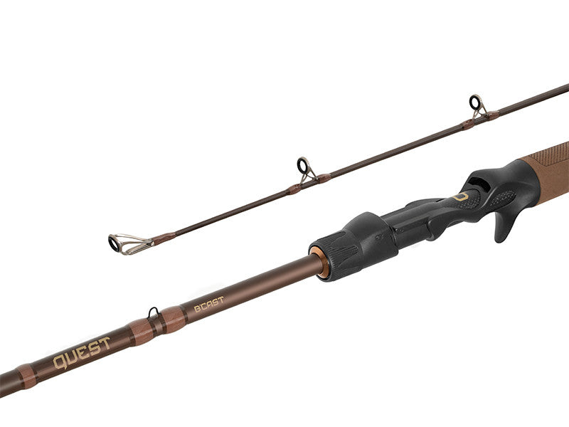 Spinings Delphin QUEST B´CAST