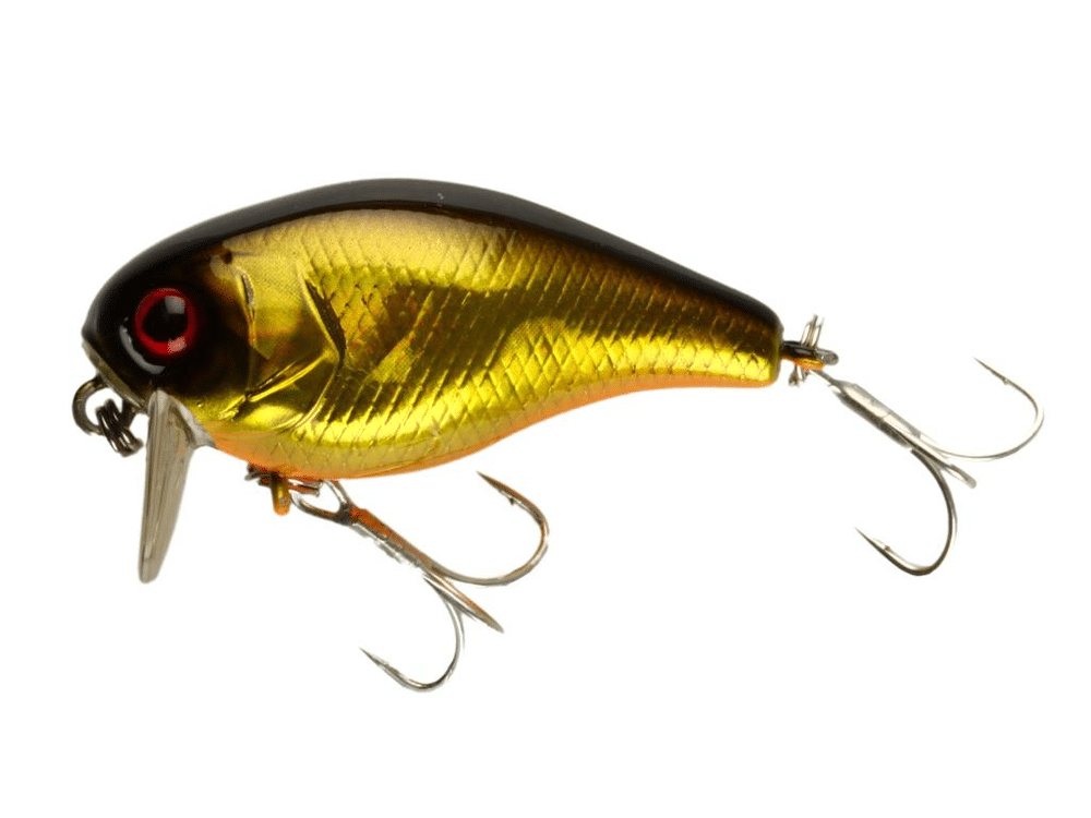 Jackall Chubby 38F SSR Wobbler
