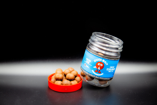 Boilas Dudi Bait  "Mister Dudi" Critic Echilibrate Tari