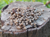 Pellets Dudi Bait Pellete Fish 1 kg