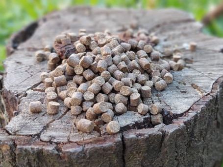 Peletes Dudi Bait Pellete Fish 1 kg