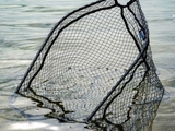 Perceptual Network SPRO Freestyle Flick Net Head Carbon