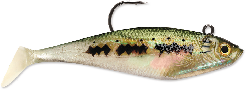 Silikona Mānekļi Rapala WildEye® Swim Shad 4"