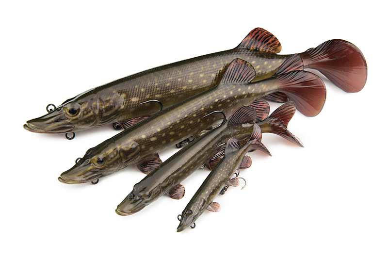 Silikona māneklis Fox Rage Ultra-Realistic Pike Replicant