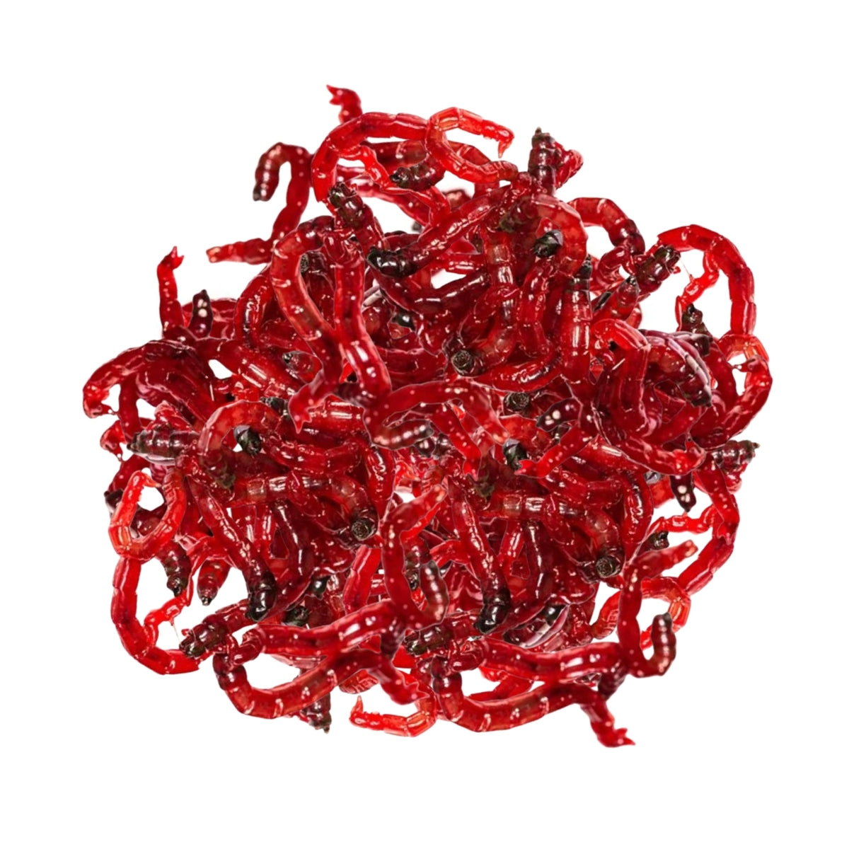 Odu kāpuri (Motilis) Produkts