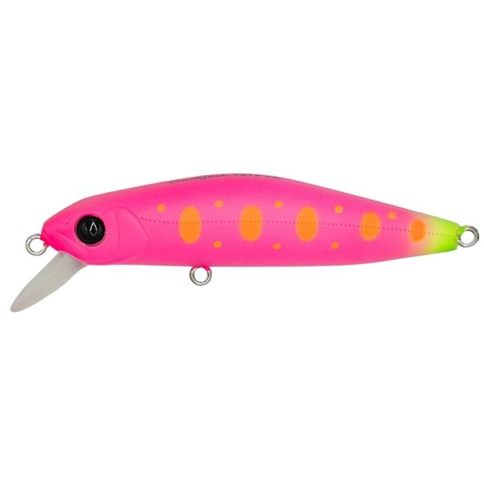 Popper Pontoon21 Crack Jack 78SP SR