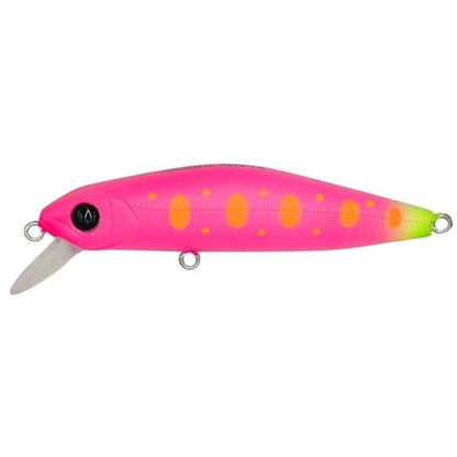 Popper Pontoon21 Crack Jack 78SP SR