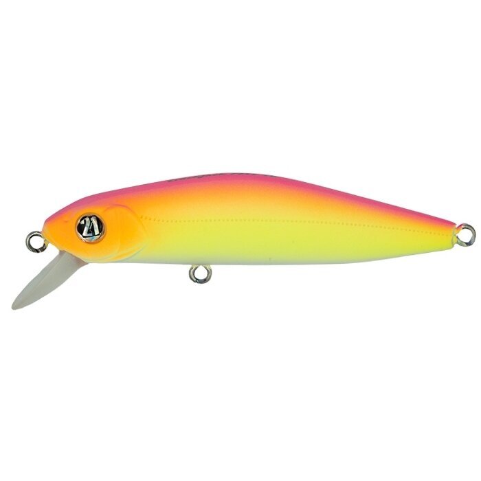Popper Pontoon21 Crack Jack 78SP SR