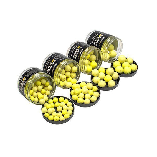Pop Up NASH SCOPEX SQUID POP UPS