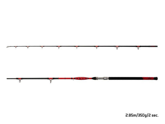 Samu Makšķere Delphin DANGER CatFISH 285cm/350g
