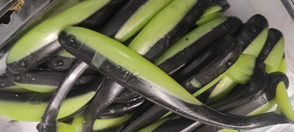 OSHELure x ALEX Crazy Fisherman mīkstie gumijas mānekļi 16cm 24gr. Aleksene Alexene, Ražots latvijā