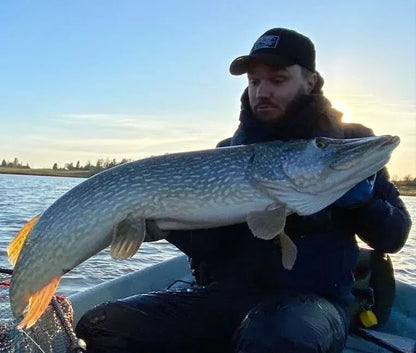 Fin Custom Lures Polarbite Beta