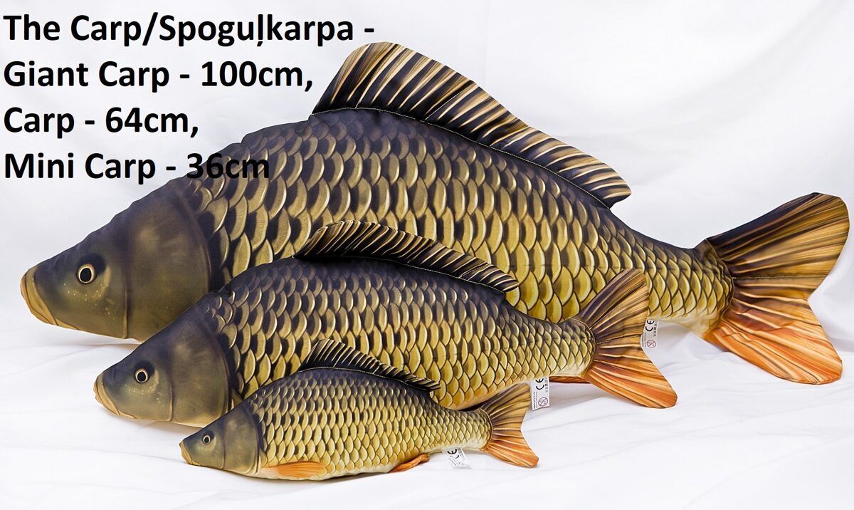 Spilvens lielā karpa 100cm / Common carp big pillow 100cm