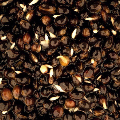 NASH-Oily Hemp, Ēļļainais kaņepju maisījums - 500ml/2,5L