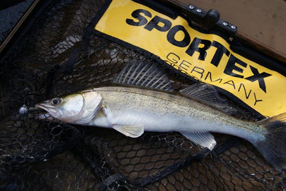 SPORTEX Aluminium Predator Landing Net rubber coated 80 x 70 cm , 70 x 60cm , 60 x 50 cm