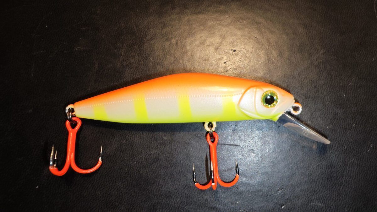 Ekskluzīvs krāsojums Pontoon21 Crack Jack 78SP MR (pārkrāsots Latvijā)