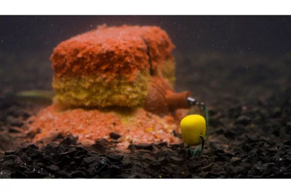 Peldošā ēsma FanatiK ViAGRA  / Sarkana / Medus-Zemene carp viagra