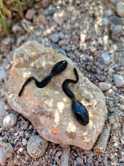 NEPTUNO BAIT Buožgalvis / Kurkulis 1" nano jig, nano džiga gumijas visa veida zivju makšķerēšanai