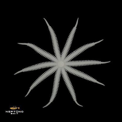 NEPTUNO BAIT Octopus / Astoņkājis 3" (dažādu izmēru gumijas, paredzētas asaru un citu plēsīgo zivju makšķerēšanai)