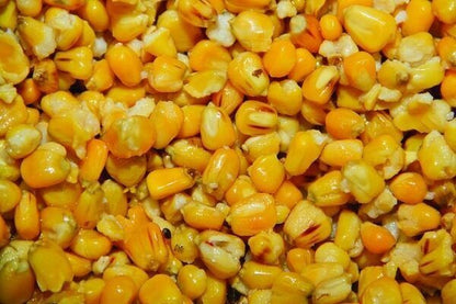 Dynamite Frenzied Maize - Gatavā kukurūza - 700gr bundža