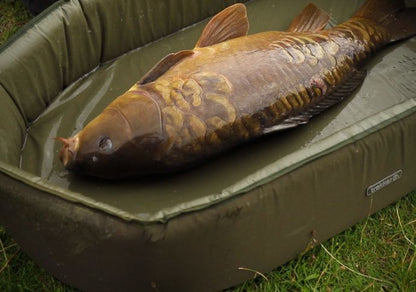 SANCTUARY SELF-INFLATING CRIB