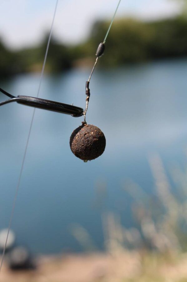 Dynamite baits 20mm Squid & Octopus, Kalmāra un astoņkāja boilas , 1kg