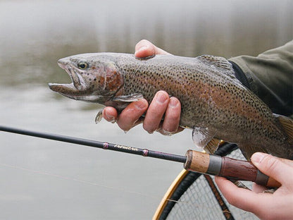 Spinings 	Delphin TROUTERA SoftLURE 180cm/0.5-6g