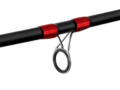 Fīderis Delphin LEEDER Feeder + 2 tips 360cm/100g