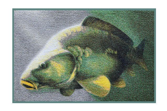 Delphin 3D carp rug (paklājs ar karpu)