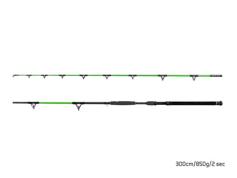 Fishing rod Delphin WALKYRA / 2 sections 300cm/850g