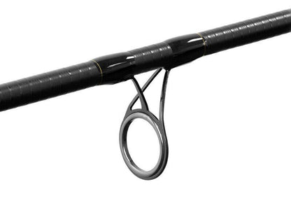 Fīderis Delphin RIVER Trophy NXT + 4 tips 300cm/160g