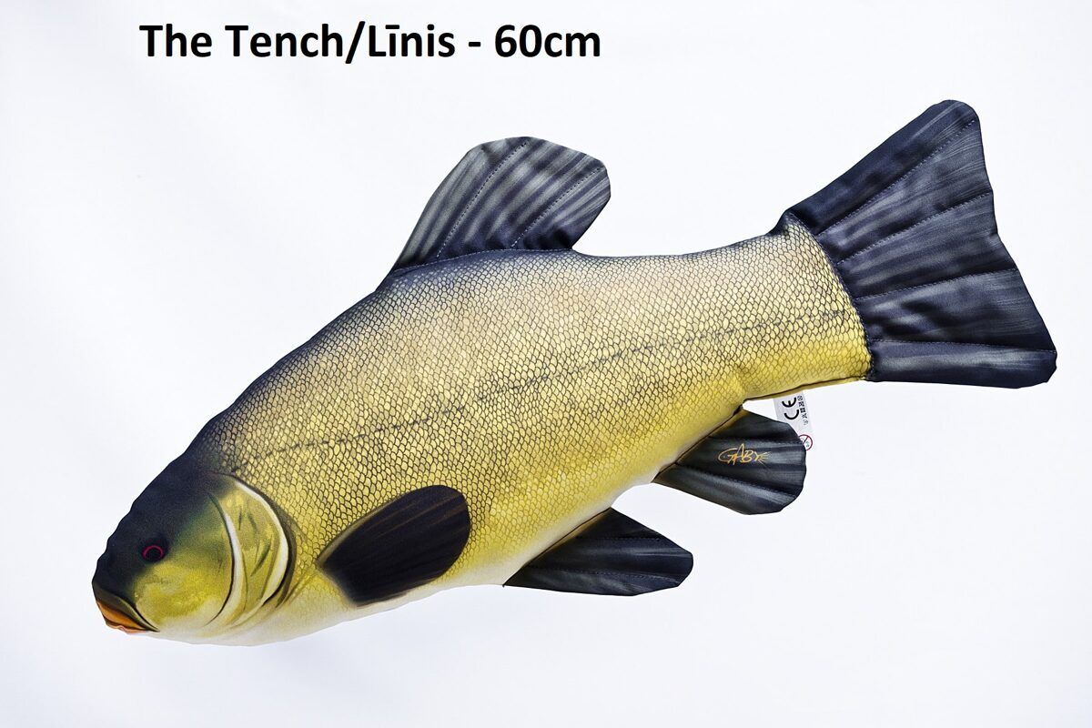 Spilvens līnis 60cm / Tench pillow 60cm