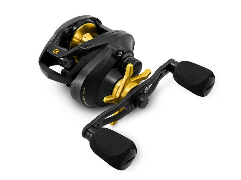 Multiplikators Delphin ZANDERA Casting
