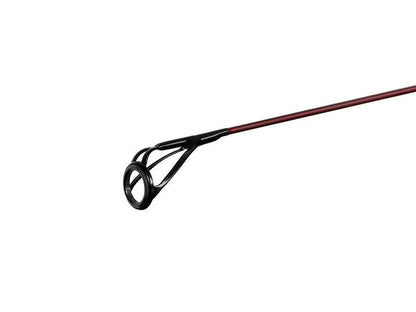 Karpu Makšķerkāts Delphin ETNA LEGEND4RY 3,6m/3,0lbs