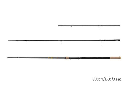 Fīderis Delphin RIVER Trophy NXT + 4 tips 300cm/160g
