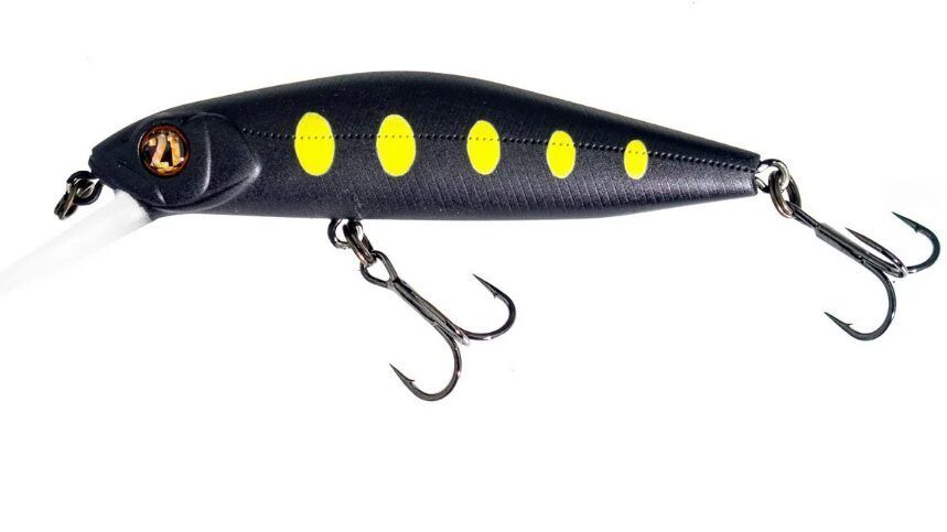 Pontoon21 Chaos 72F SR