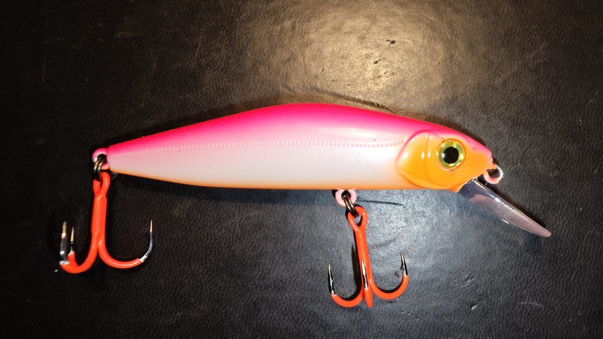 Ekskluzīvs krāsojums Pontoon21 Crack Jack 78SP MR (pārkrāsots Latvijā)