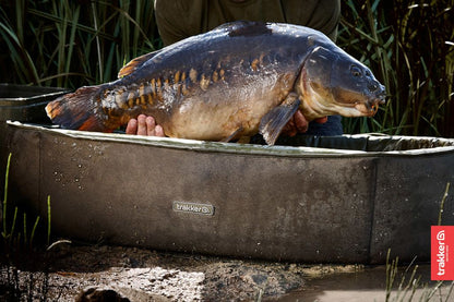 TRAKKER SANCTUARY COMPACT OVAL CRIB