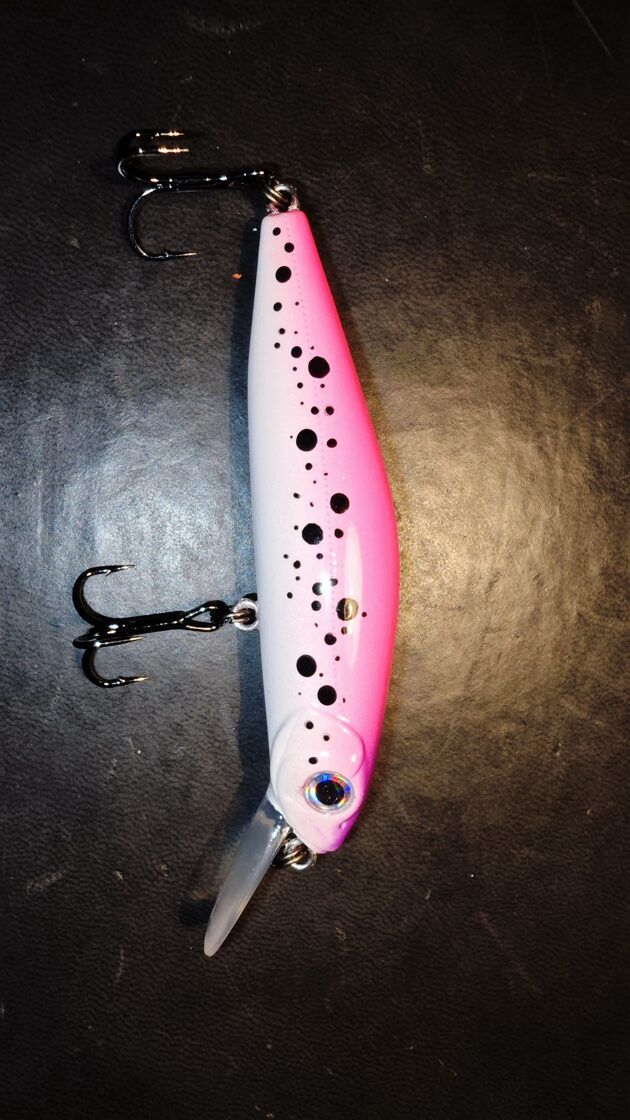 Ekskluzīvs krāsojums Pontoon21 Crack Jack 78SP MR (pārkrāsots Latvijā)