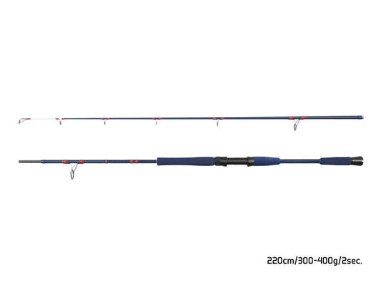 Jūras spinings Delphin FYORD BigBOAT 220cm / 300-400g