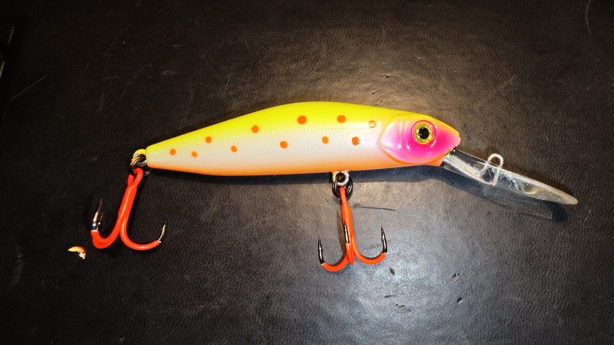 Ekskluzīvs krāsojums Pontoon 21 Crack Jack 78F DR