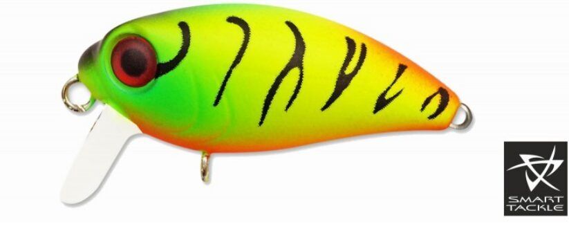 Vobleris KOSADAKA «Roger SURF» 36F