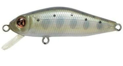 Pontoon21 GREEDY GUTS 88SP-SR