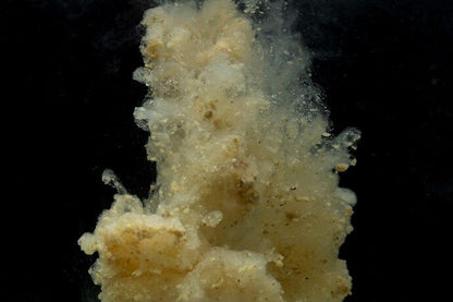 STICKY MANILLA ACTIVE MIX, Vaniļas garšas iebarošanas mix - 900gr, 2,5kg