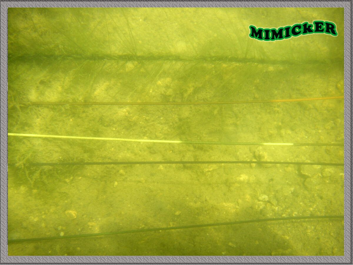 Katran Mimicker leadcore 45lb , 35lb , 25lb / 10m