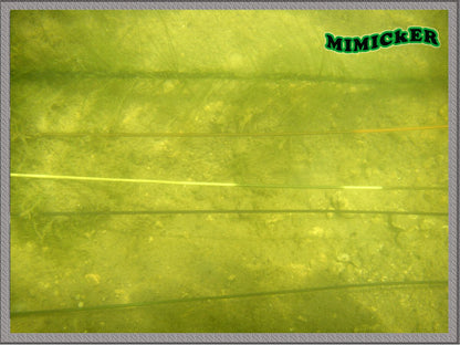 Katran Mimicker leadcore 45lb , 35lb , 25lb / 10m