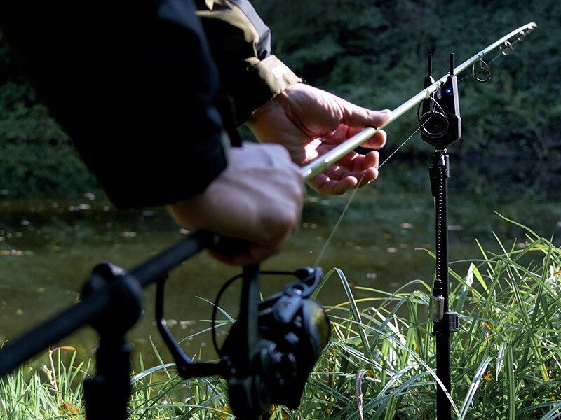 Spole Delphin AMOX 6T DP