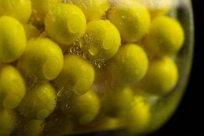 STICKY PINEAPPLE & N'BUTYRIC BAIT SPRAY, Ananāsu/Sviestskābes garšas Ēsmas pūšamais šķidrums